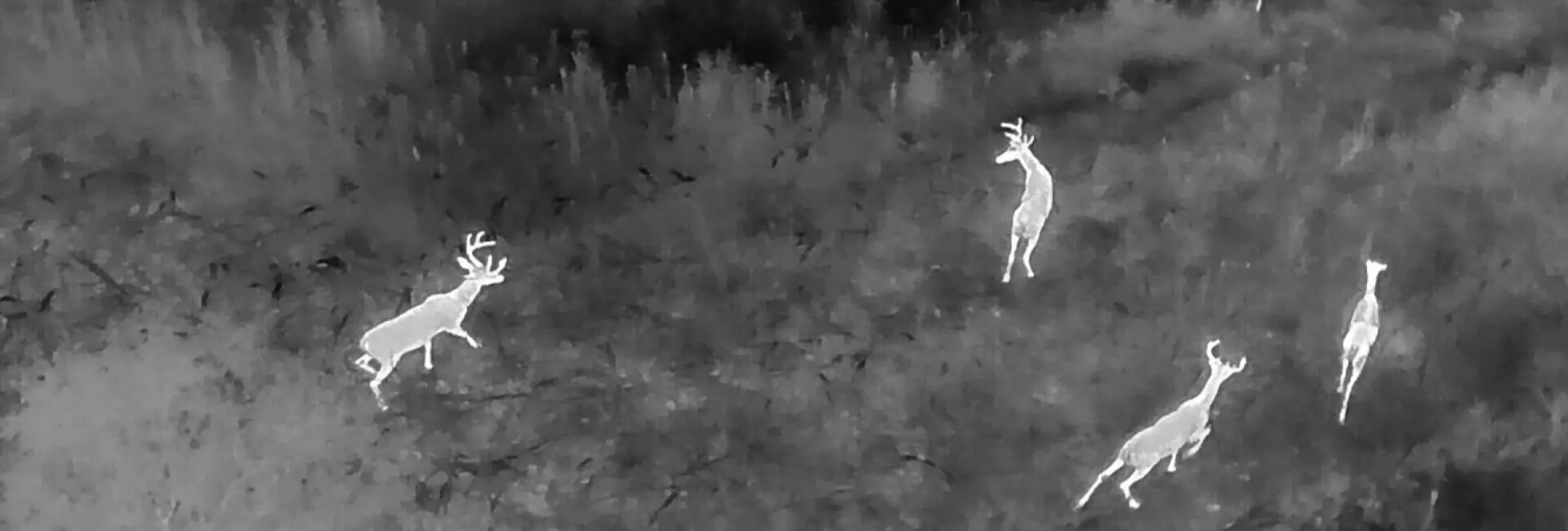 Removing construction debris from deck removal