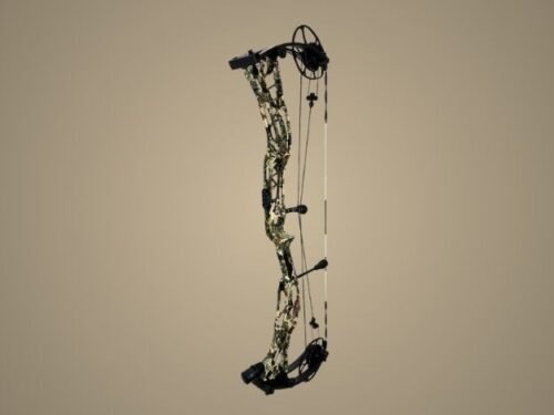 Darton TRITECH 31 Compound Hunting Bow
