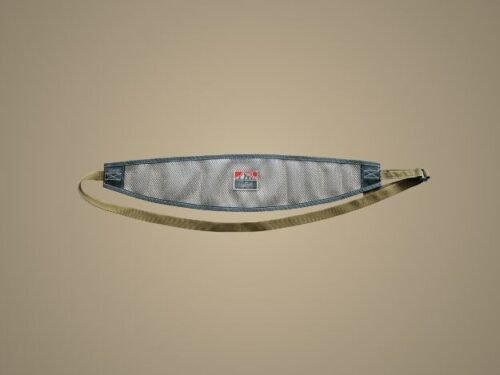 Back Band
